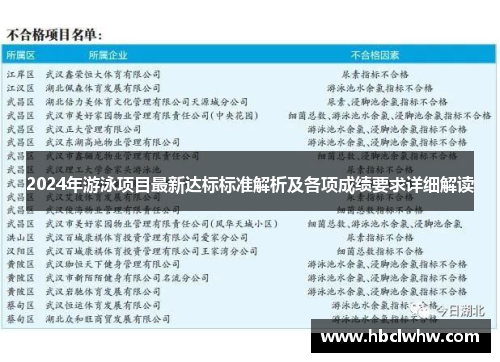 2024年游泳项目最新达标标准解析及各项成绩要求详细解读